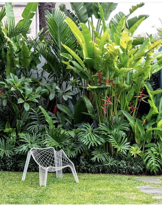 Ý tưởng thiết kế trồng cây sân vườn theo phong cách nhiệt đới đẹp, độc đáo