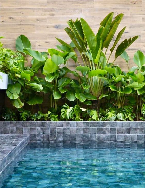 thiết kế sân vườn nhiệt đới đẹp độc đáo